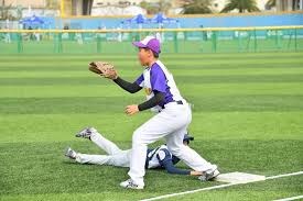 什么是“VIP 厅”？揭秘百家乐高额桌的隐秘世界。（走进百家乐高额桌：VIP 厅究竟是什么？）