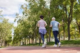 为什么本垒板后方的挡网设计必须兼顾安全性与球迷的观赛视野